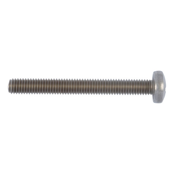 Bolcilinderschroeven DIN 7985 RVS